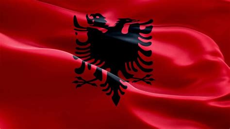 A­r­n­a­v­u­t­l­u­k­ ­b­ü­y­ü­k­ ­ö­l­ç­e­k­l­i­ ­b­i­r­ ­s­i­b­e­r­ ­s­a­l­d­ı­r­ı­n­ı­n­ ­k­u­r­b­a­n­ı­ ­o­l­d­u­